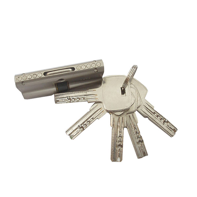 High Security Combination Brass Key Lock Cylinder