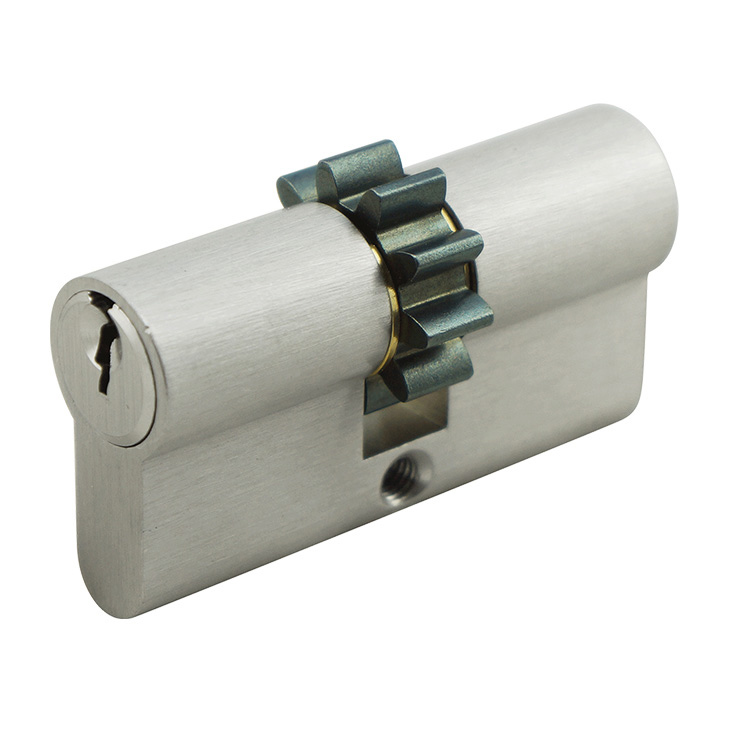 Euro Profile Cylinder fitted with gear cam